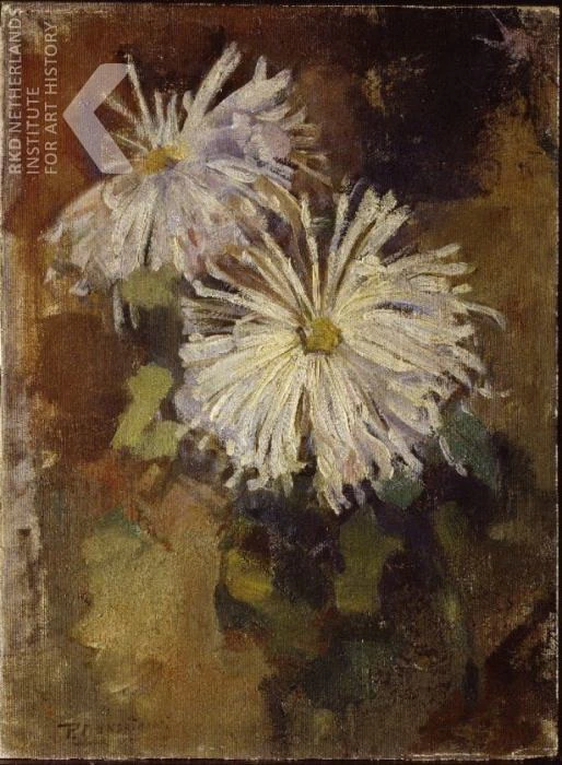 Due fiori di crisantemo c. 1899 - 1900 - Kunstmuseum Den Haag, L'Aia